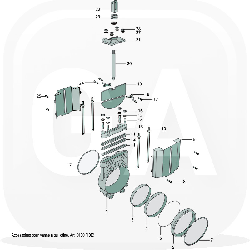 Collier Vanne lisier